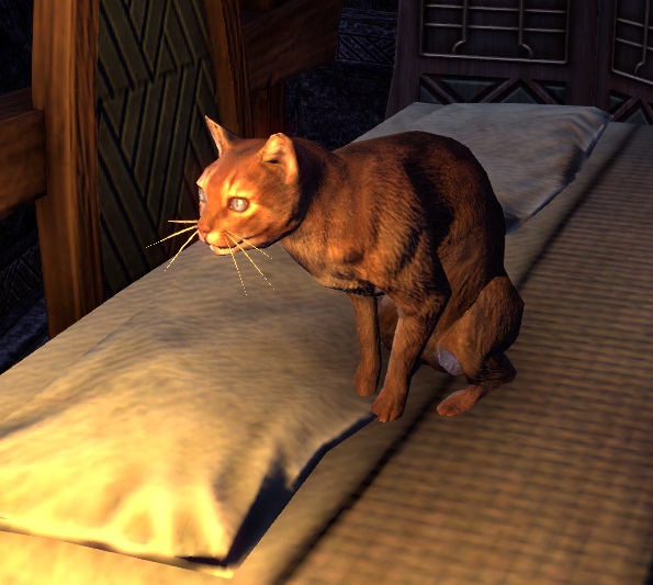 Datei:ESO Ebenerzchen.jpg