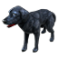 ESO Icon pet 022.png