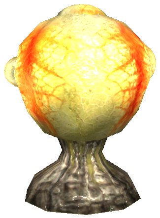 Datei:Flammenstängel Pflanze.jpg