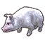 ESO Icon pet 238 pinkpig.png