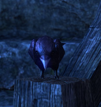 Datei:ESO Der Knappe der Saatkrähen.jpg