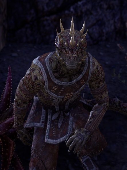 Datei:ESO Nicht-so-schnell.jpg