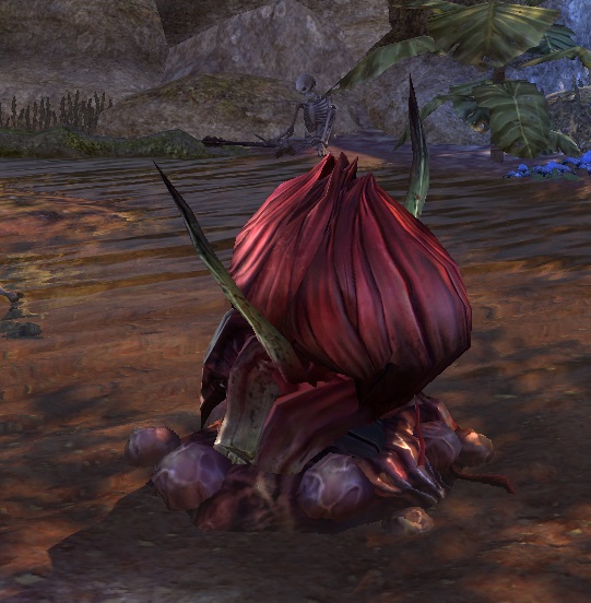 Datei:ESO Klage der Dornen.jpg