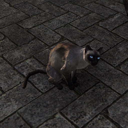 Datei:ESO Sir Säbelzahn.jpg