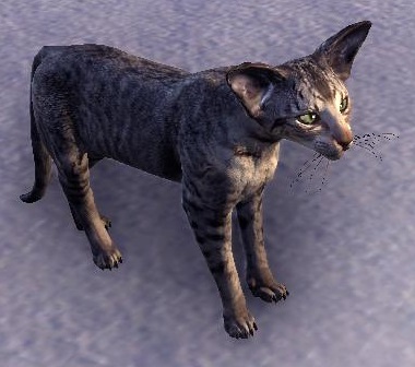 Datei:ESO Wachkatze der Magiergilde.jpg