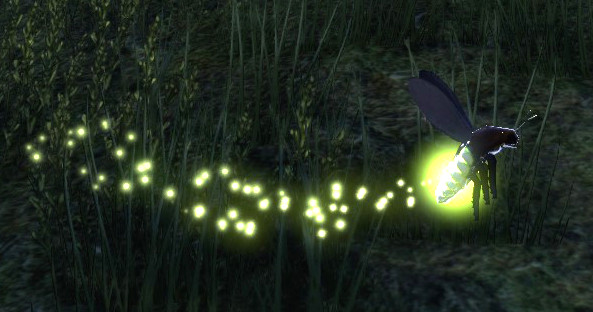 Datei:ESO Fackelkäfer.jpg