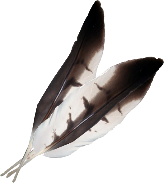 Datei:SR Falkenfedern.png