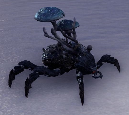 Datei:ESO Blaukappen-Pilzschröter.jpg