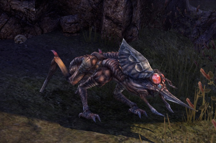 Datei:ESO Varnag.jpg