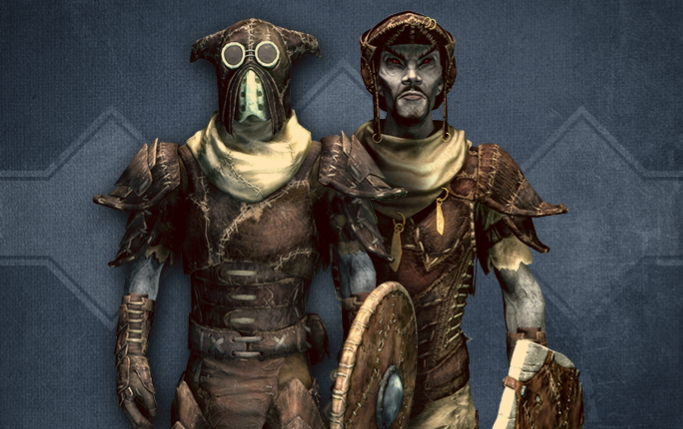 Datei:SR CC Netch Armor 1.jpg