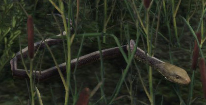 Datei:ESO Schlange grün.jpg