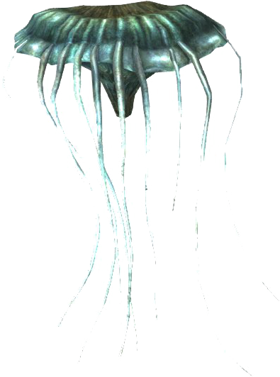 Datei:SR Schimmerpilz.png