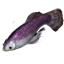 ESO Icon crafting fishing river betty.png