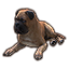 ESO Icon pet 090.png