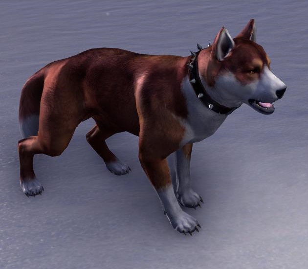 Datei:ESO Kupfernacken-Bärenhund.jpg