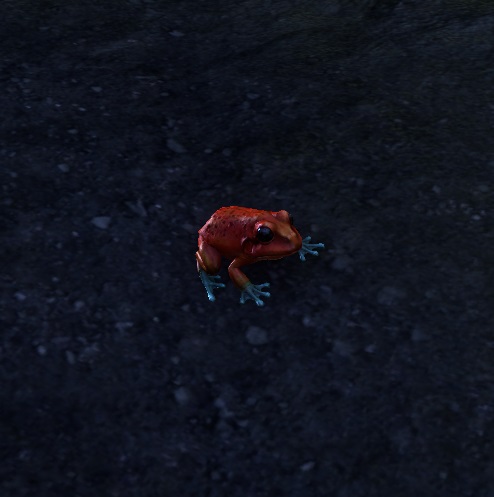 Datei:ESO Falinesti-Glotzfrosch.jpg