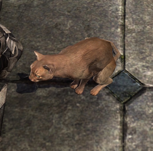 Datei:ESO Zuckerbart.jpg