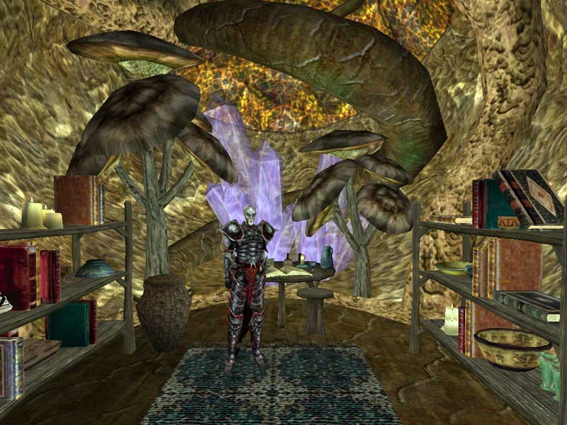 Divayth Fyrs Arbeitszimmer