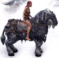 ESO Frostfluch-Pferd Tragekapazität.jpg