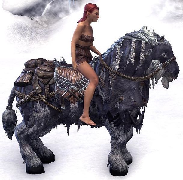 Datei:ESO Frostfluch-Pferd Tragekapazität.jpg