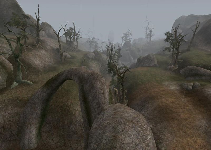 Datei:MW Westspalte 2.jpg