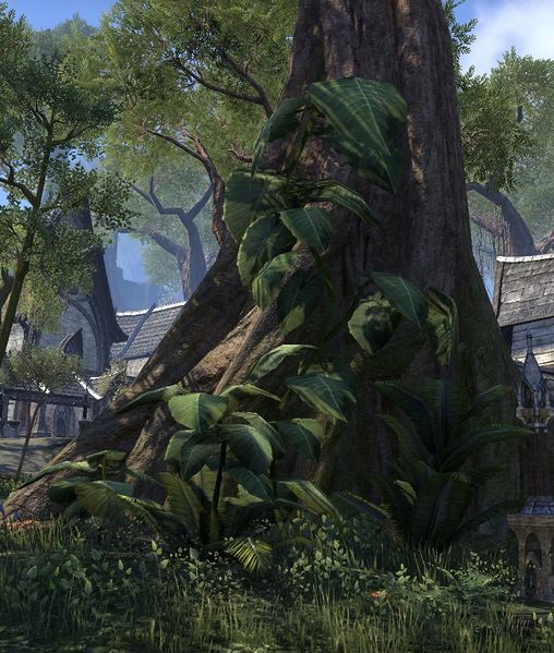 Datei:ESO Dschungelblatt.jpg