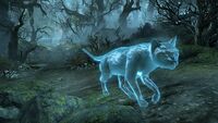 ESO Geisterhafte Hauskatze Promo.jpg