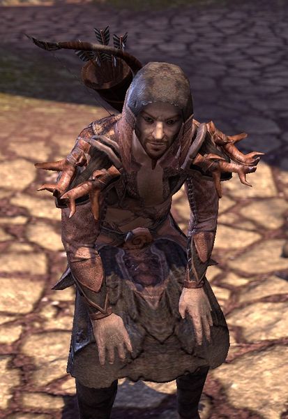 Datei:ESO Dämmerranken-Schütze.jpg