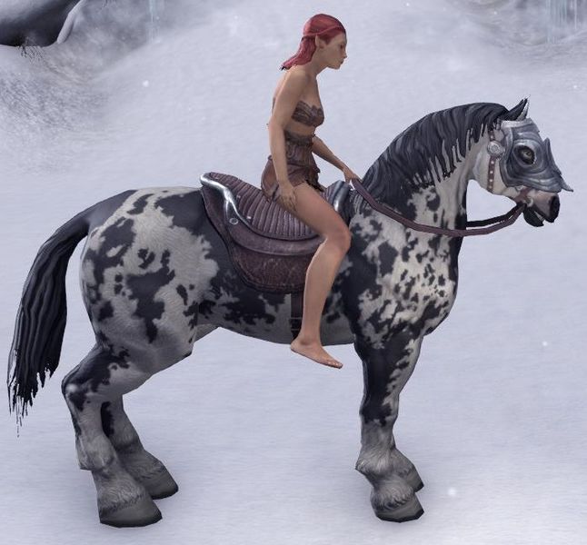 Datei:ESO Gescheckter Destrier Ausdauer.jpg