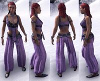 ESO Flüsterfaden-Galagewand-w.jpg