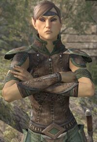 ESO Himmelswacht-Wache.jpg