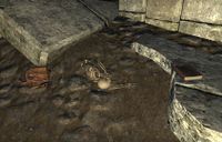 ESO Abagarlas - Tagebuch von Bernamot dem Großen.jpg