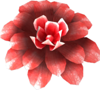 OBL Rotwurz Blume.png
