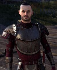 ESO Hilfskonstabler Luric.jpg