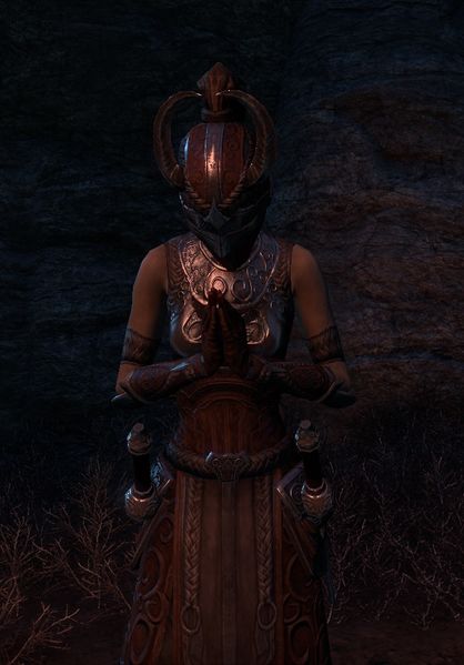 Datei:ESO Seidenring-Assassine.jpg