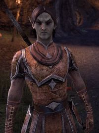 ESO Zauberer Vunal.jpg