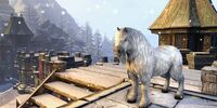 ESO Frostfluch-Pony Promo.jpg