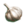 ESO Icon Knoblauch.png