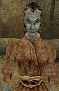 MW Aldyne Arenim.jpg