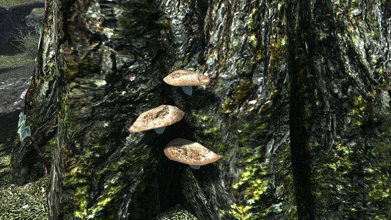 Datei:Mora Tapinella am Baum.jpg