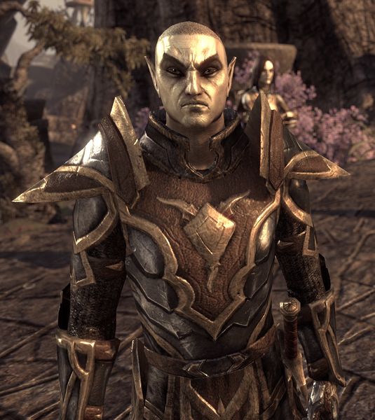 Datei:ESO General Balreth.jpg
