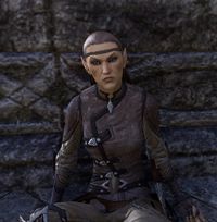ESO Späherin Lorumel.jpg