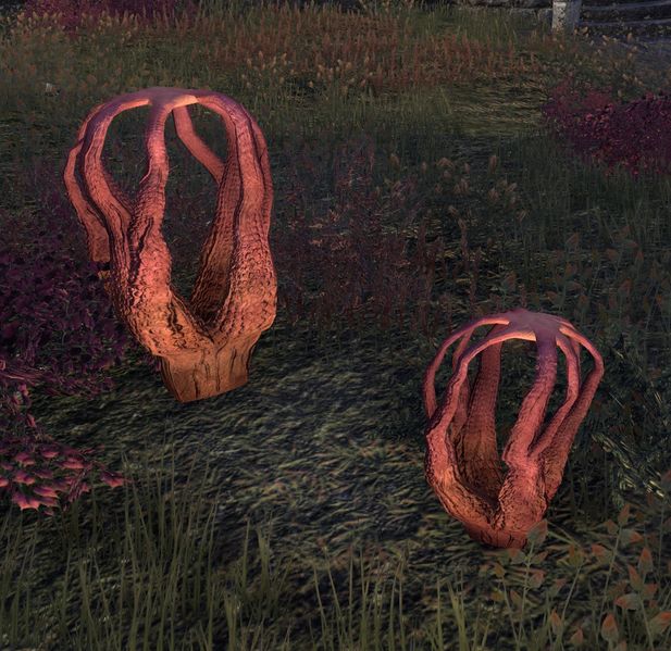 Datei:ESO Vvardenfell-Korallenpflanzen.jpg