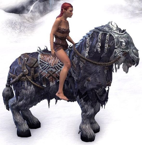 Datei:ESO Frostfluch-Pferd Ausdauer.jpg