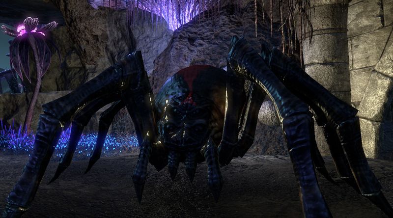 Datei:ESO Jüngerin von Velidreth.jpg