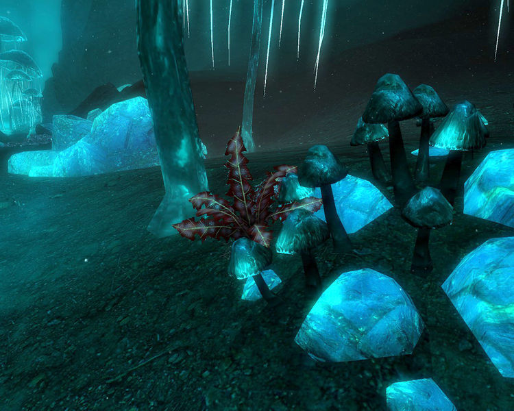 Datei:Purpurne Nirnwurz.jpg