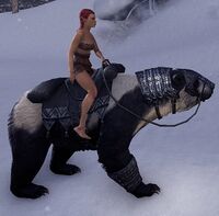 ESO Brillenbär Ausdauer.jpg