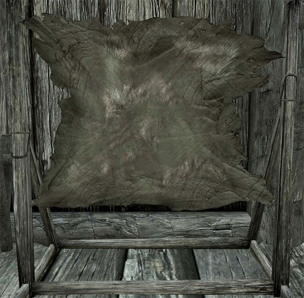 Datei:SR Gerbgestell.jpg