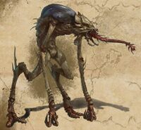 ESO Konzept Hunger.jpg