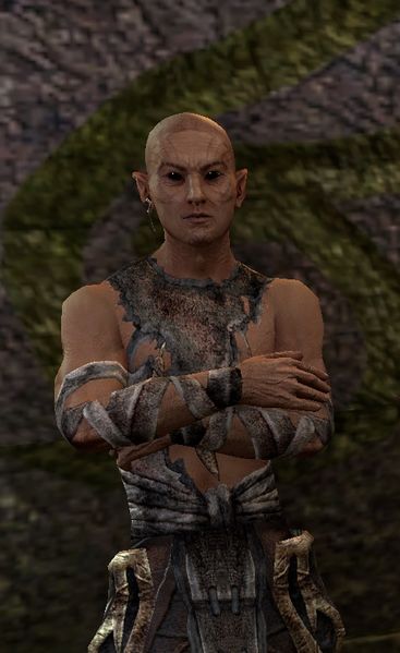 Datei:ESO Ording.jpg